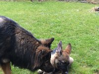 Shani und Xelie